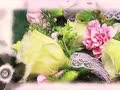 幸福女人，美麗相伴|59醫(yī)療器械網(wǎng)與您攜手共度佳節(jié)！